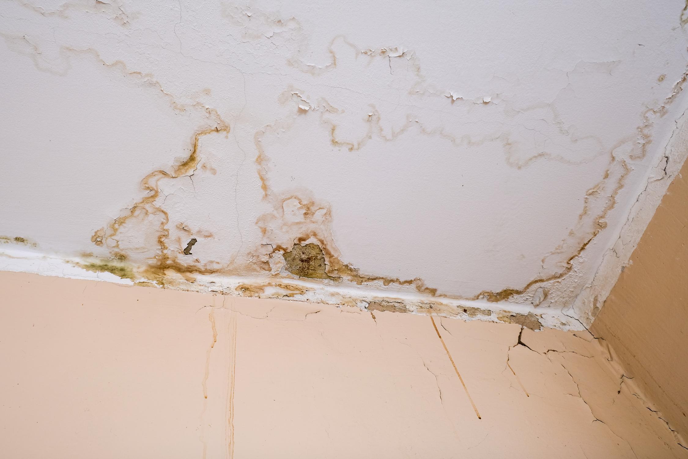 Leaks, Flooding Or Water Damage