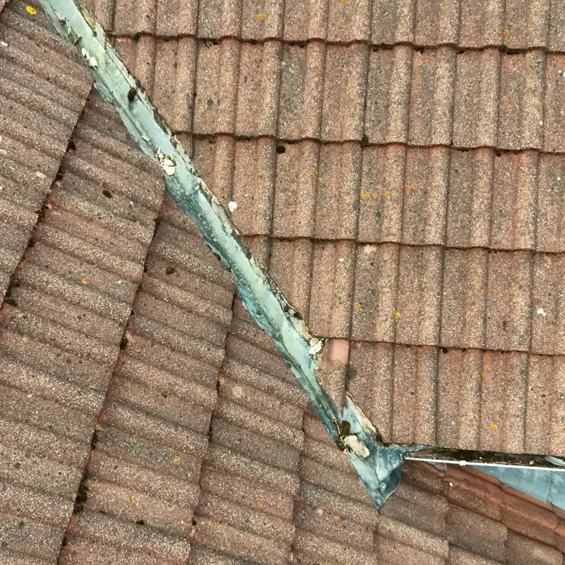 Defective Roofing Or Gutters
